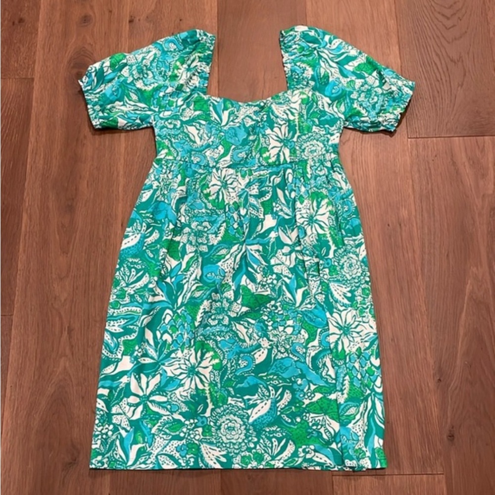 Lilly Pulitzer Delaney Short Sleeve Dress Botanical Green Safari Sangria Size 6 - Picture 2 of 4